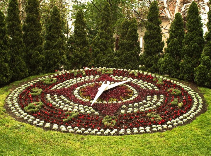 Flower-clock