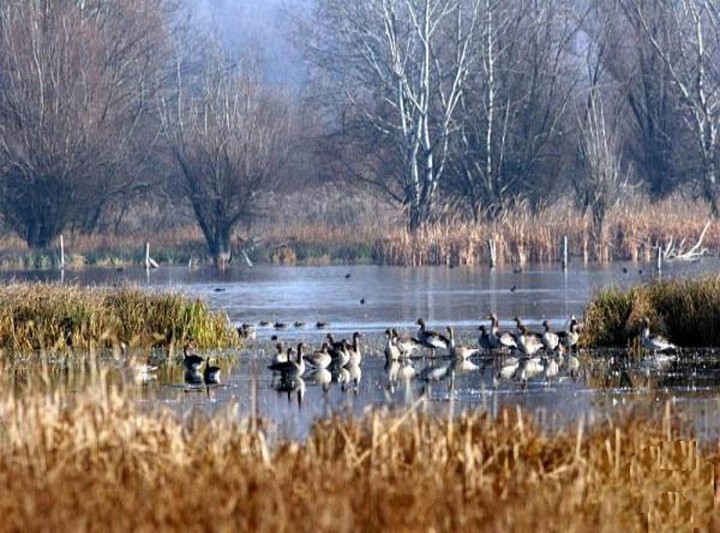 Naturpark Vértes