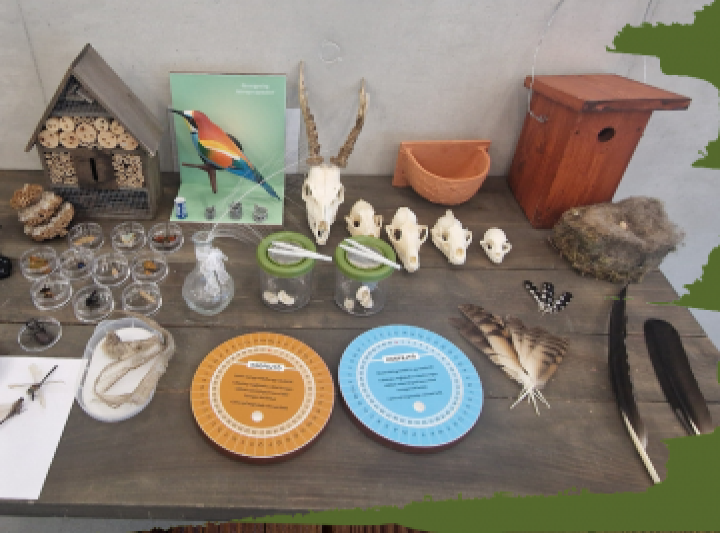 Ökoklub ifjú természetbúvároknak