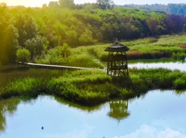 Természet és történelem