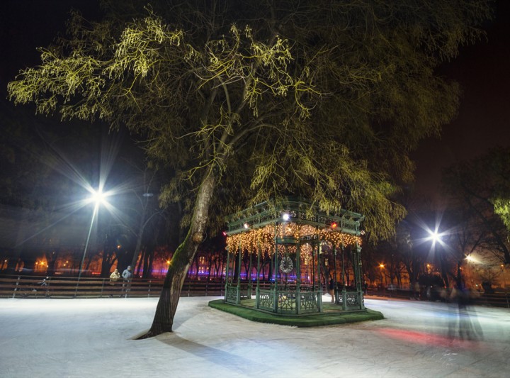 Kori Liget Székesfehérvár