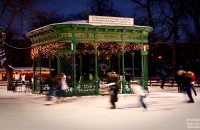 Kori Liget Székesfehérvár