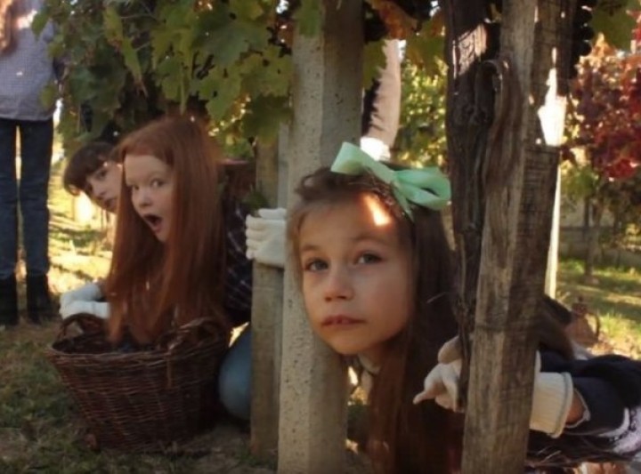 Gyermekszínjátszókat várnak a fehérvári fesztiválra