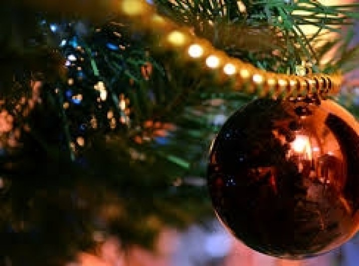 Karácsonyfák utcája lesz Székesfehérváron a Rác utcában