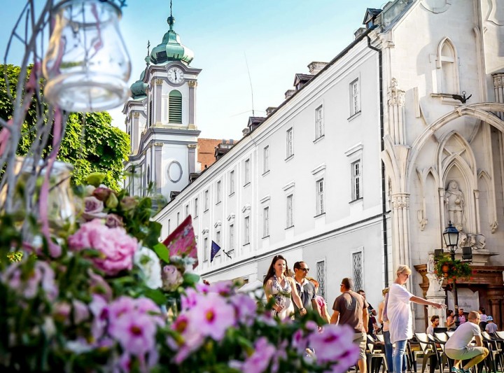 Galambröptető, virágos, ízes Pünkösd JamBoryVárral és nosztalgiagőzössel Székesfehérváron