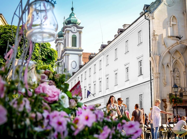 Virágba borul a Pünkösd Székesfehérváron